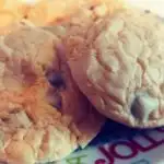 Orange chocolate chip cookies