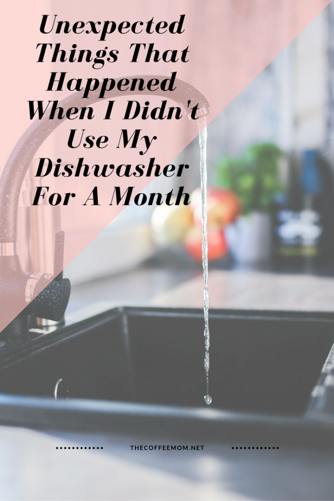 No dishwasher for a whole month! See what happened!