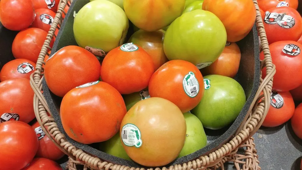 florida fresh produce green tomatoes 