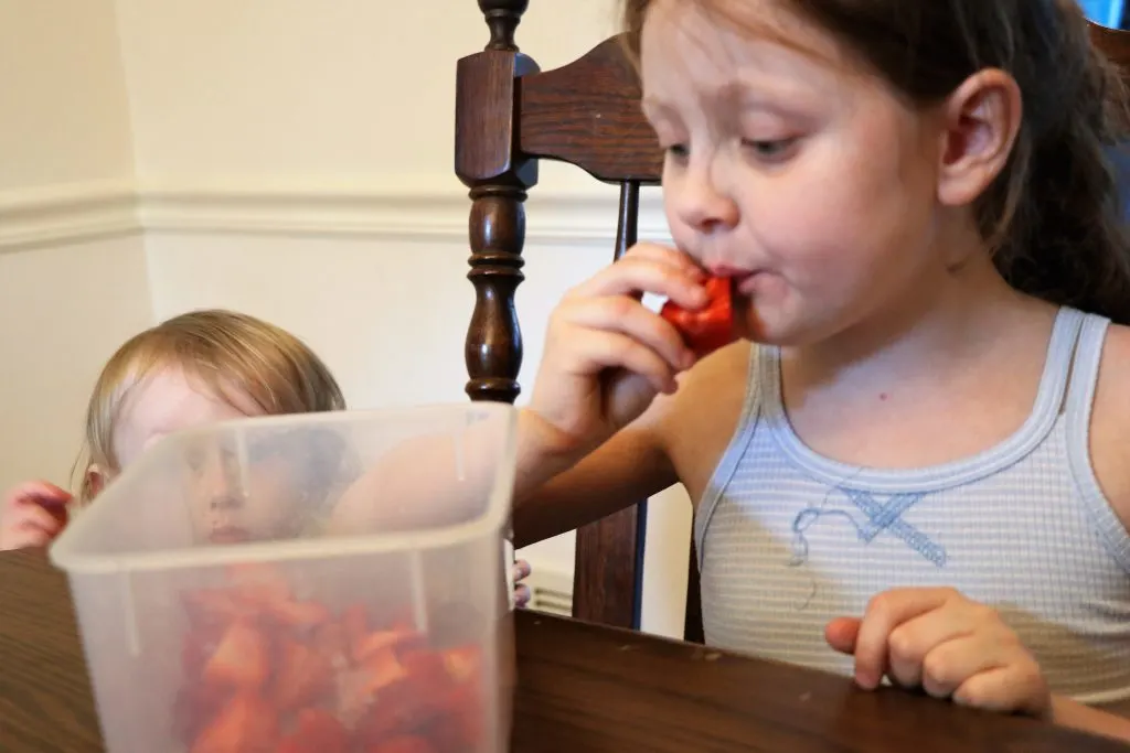 florida fresh produce strawberries 