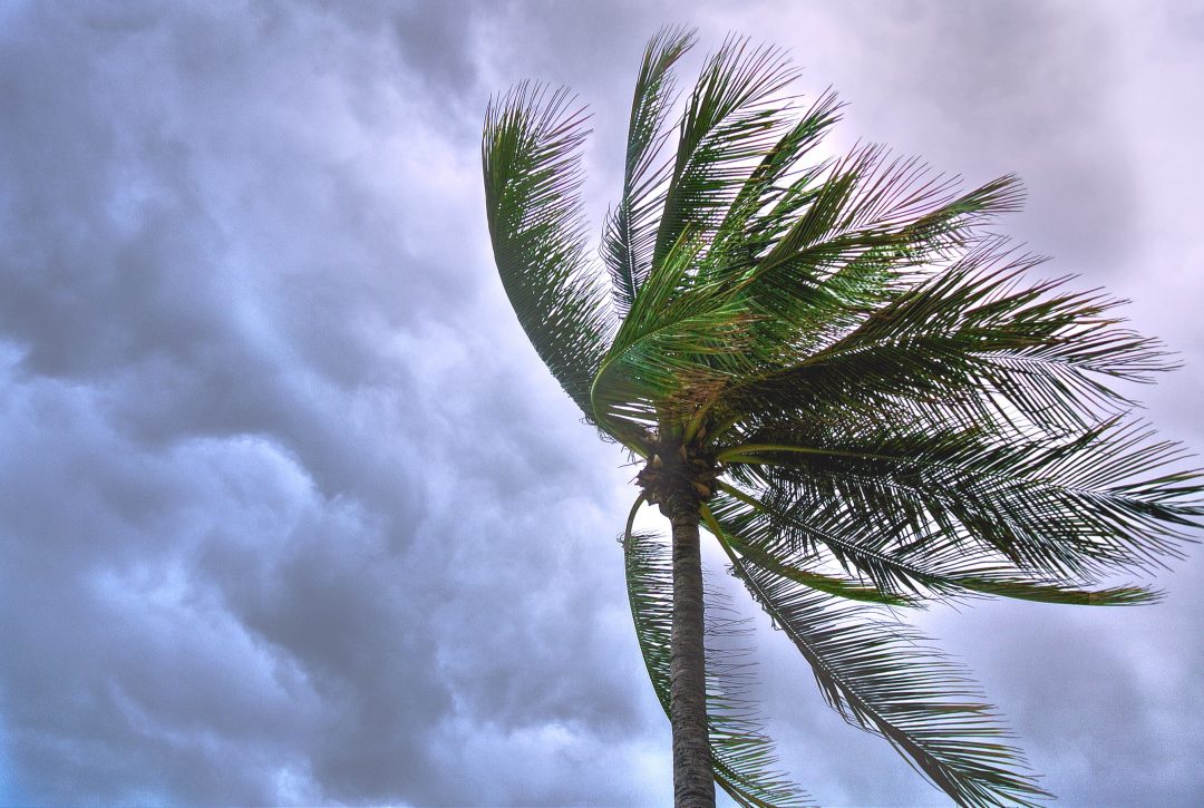 hurricane season prep