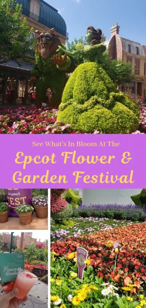 The Epcot Flower & Garden Festival Is In Full Bloom! Enjoy this beautiful welcoming of Spring with delicious food, beautiful flowers, and so much more!