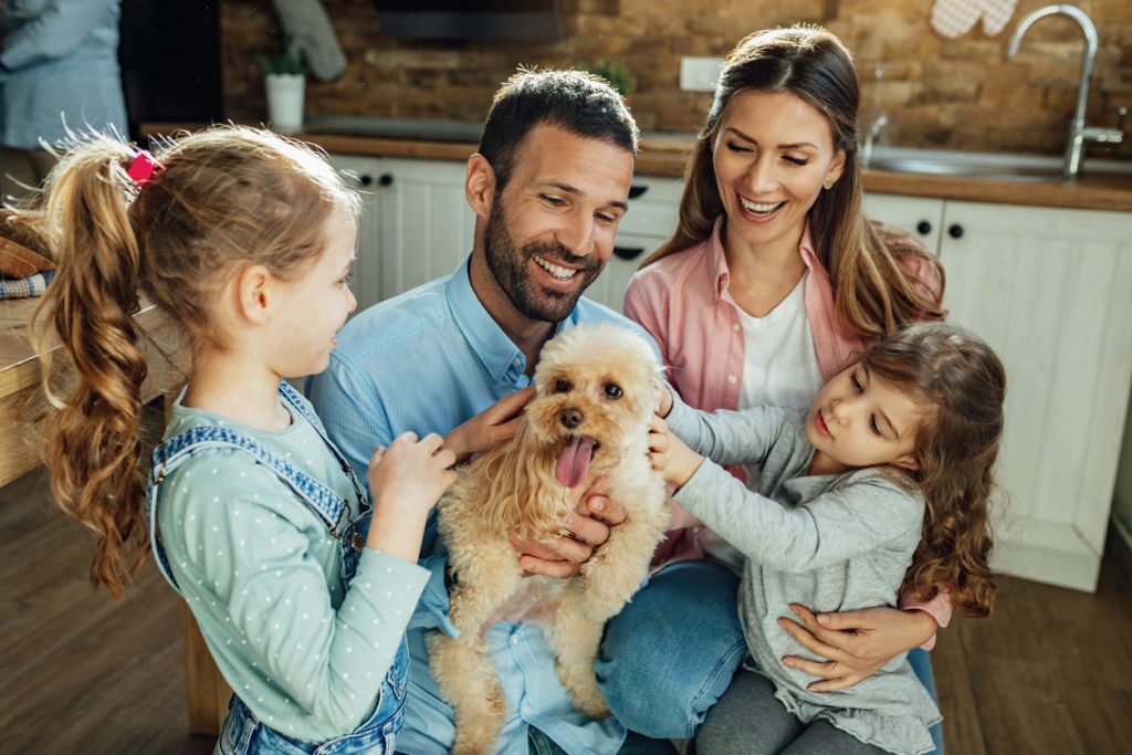 emotional support dog with the family