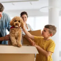 4 Tips for a Less Stressful Move