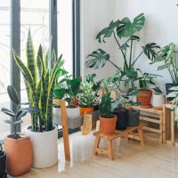 small sustainable changes