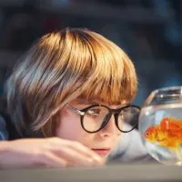 How To Have A Low-Budget Fish Tank 6 Useful Tips