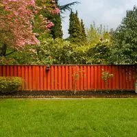 Keep Your Yard Tidy