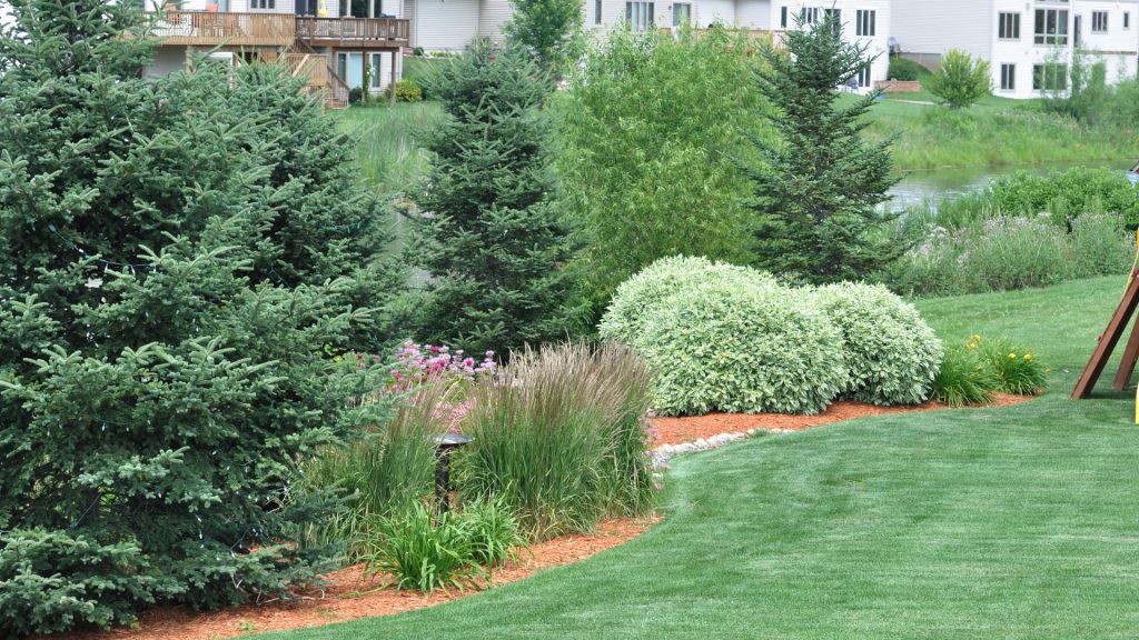 importance of soil health in landscaping