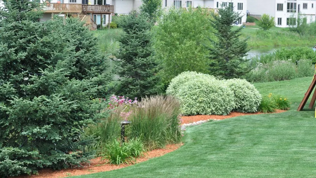 Landscaping Your Own Back Yard