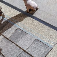 Roof Maintenance & Repair The Basics