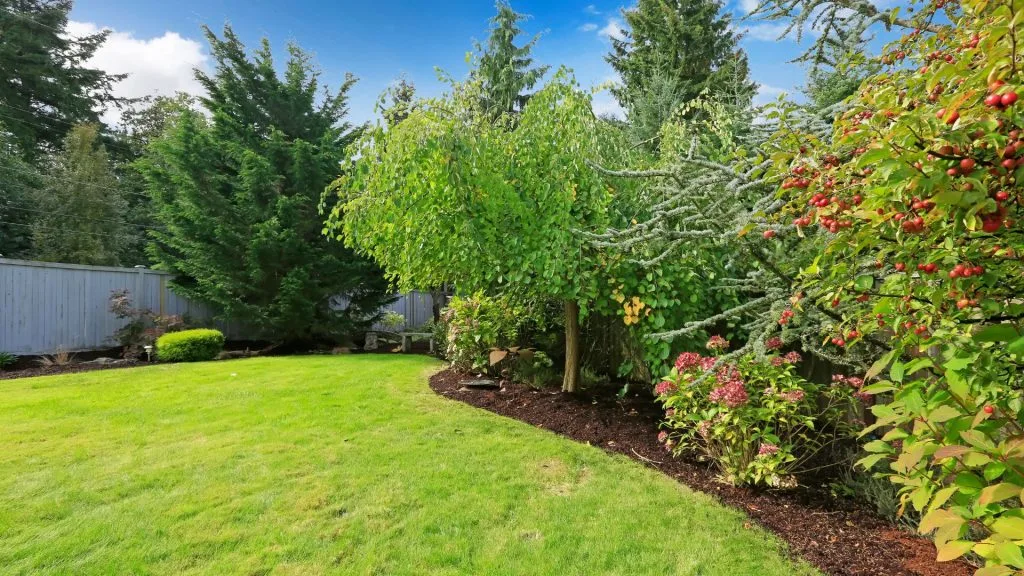 What to Know When Landscaping Your Own Back Yard