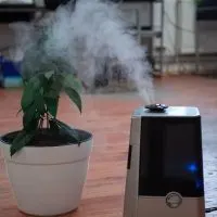 How Do Air Purifiers Help Eliminate Odors