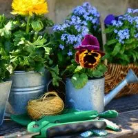 Make Your Garden Stand Out