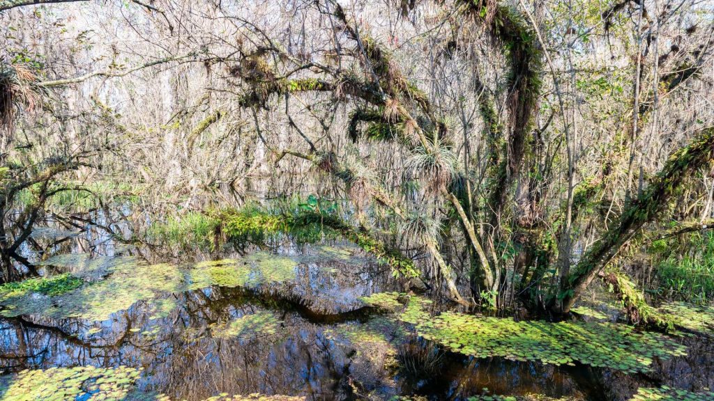 The Everglades family friendly getaways in florida