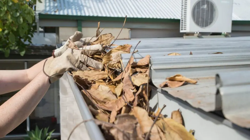 Leaky Gutters