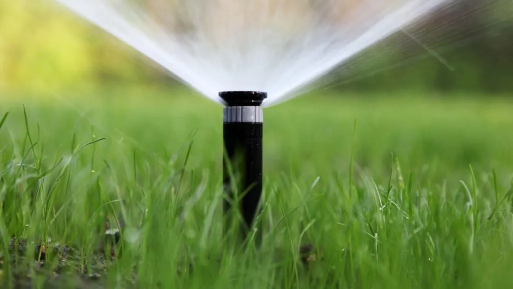 What Is a Plumbing Leak, and How Do You Know if You Have One in Your Yard