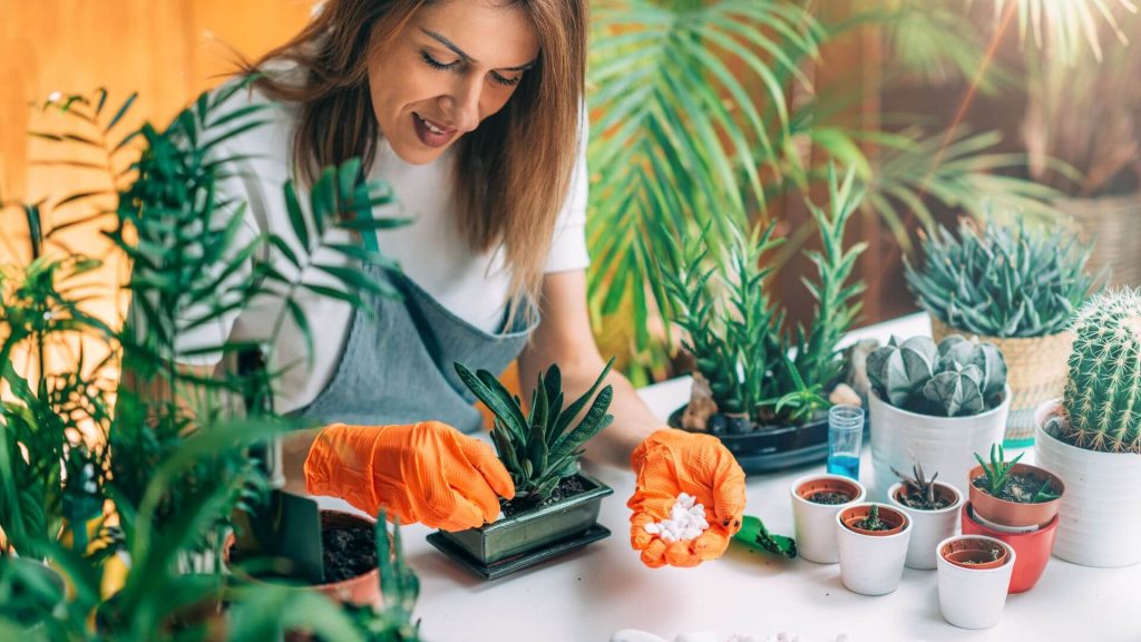 Indoor Garden