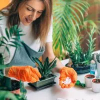 Indoor Garden