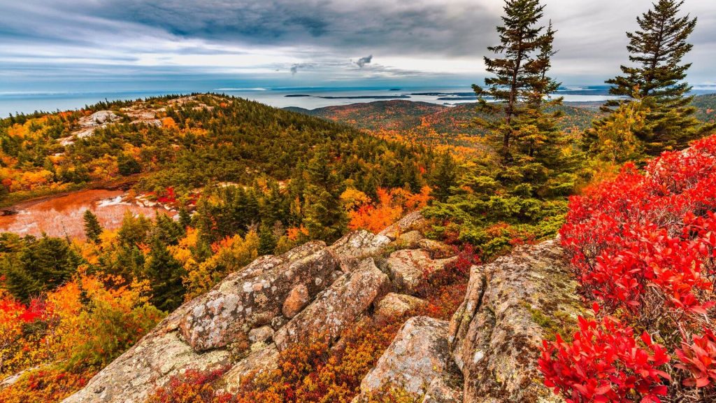 Schoodic National Scenic Byway, Maine Fall
