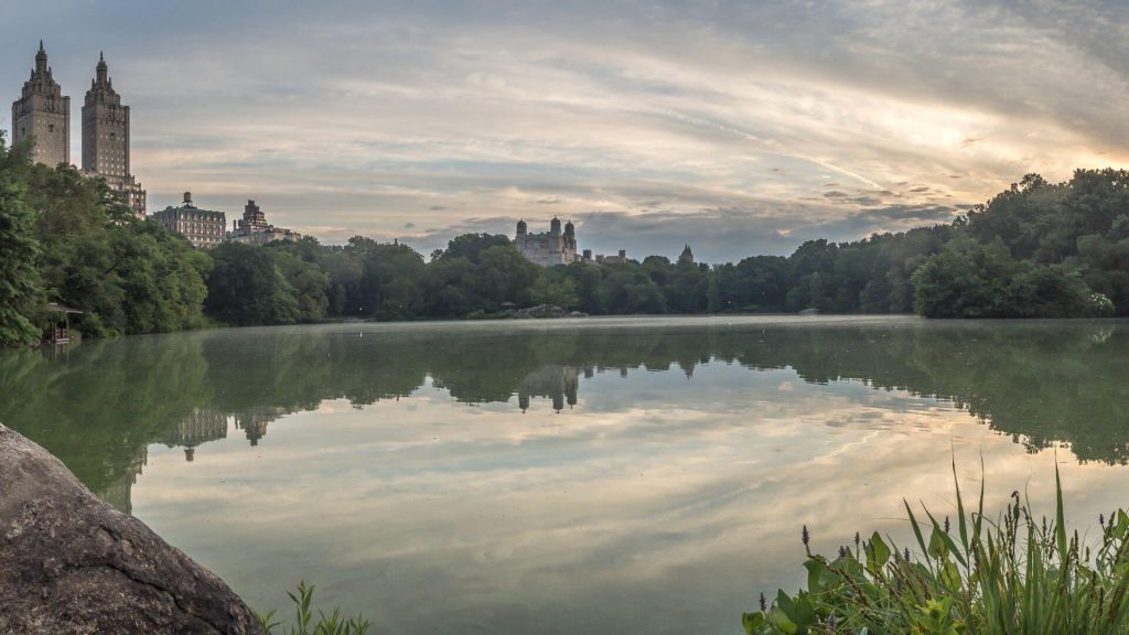 The Lake and Lake House