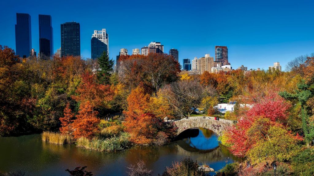 Top Central Park Attractions You Need to See