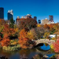Top Central Park Attractions You Need to See