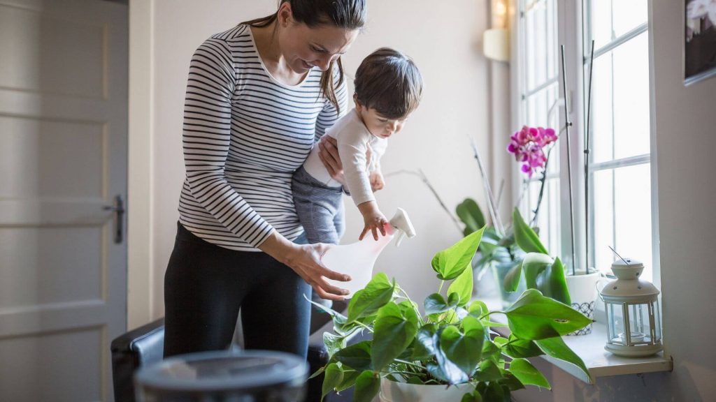 You Can Have An Amazing Indoor Garden If You Follow These 6 Tips