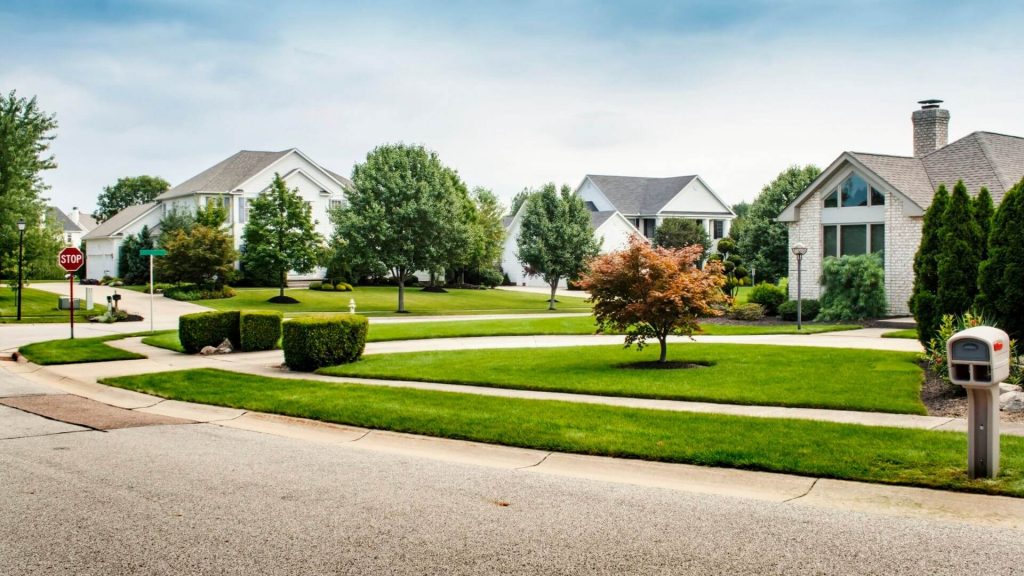 What To Expect When Moving To The Suburbs