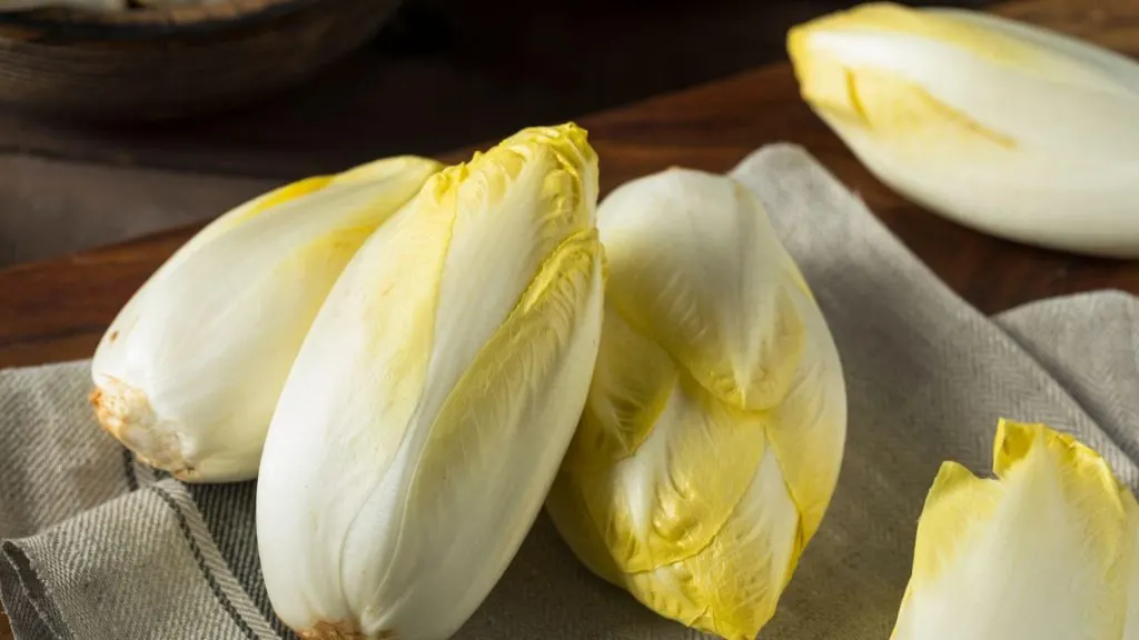 Endive