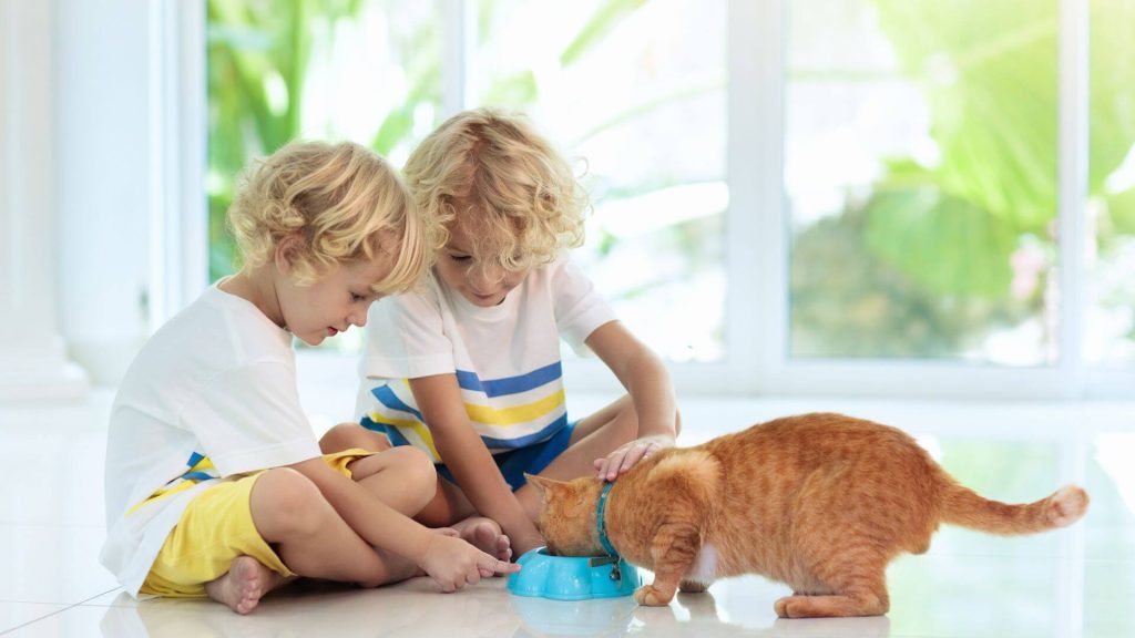 Everything You Need to Know About Choosing the Right Pet for Your Children
