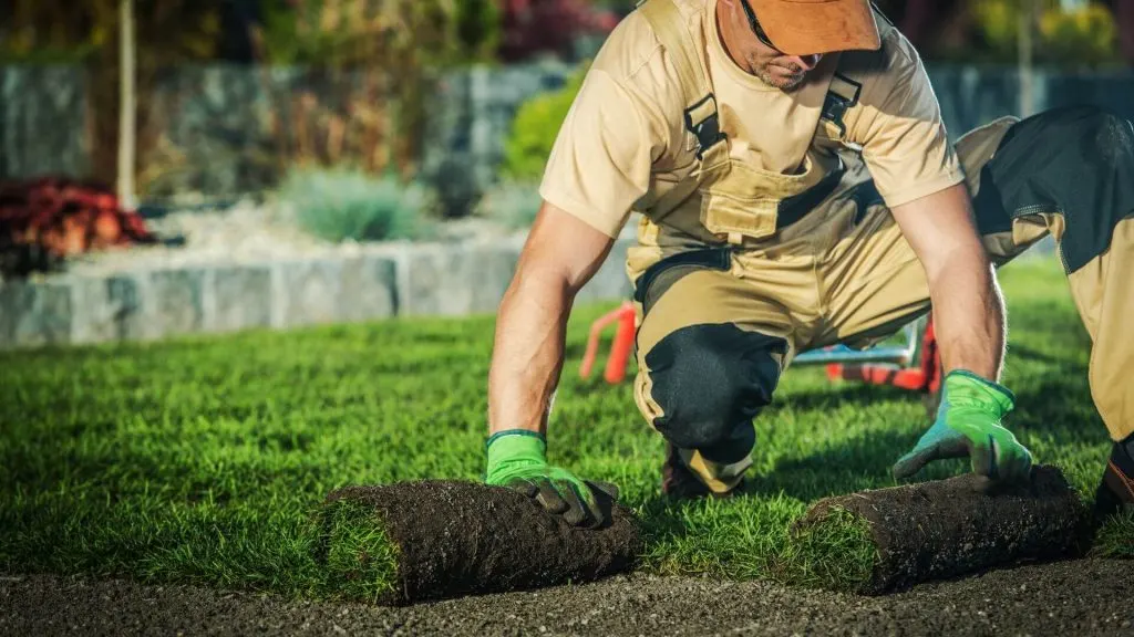 Landscaping - to keep your house looking its best