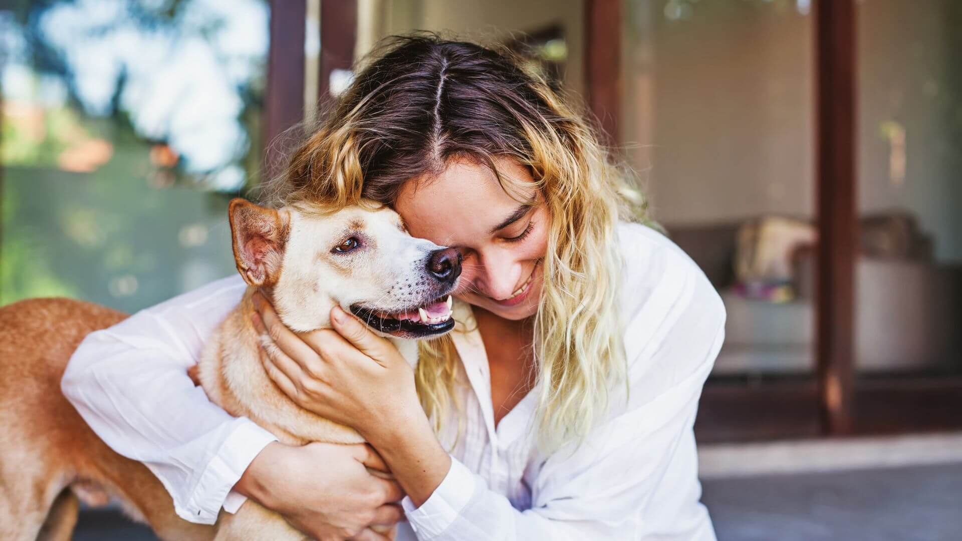 Lifestyle Adjustments to Make When Living with a Pet