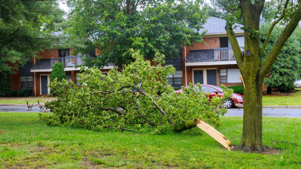 How Well Can Your Home Handle A Storm
