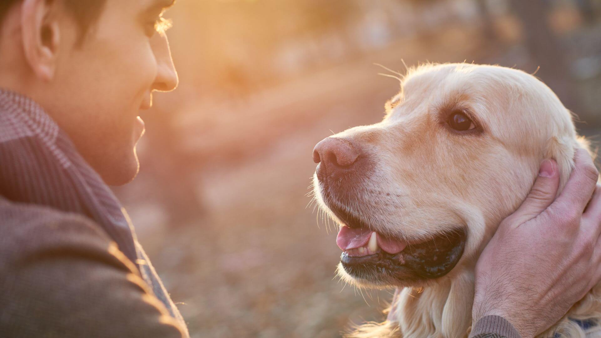 10 Benefits of Adopting a Dog