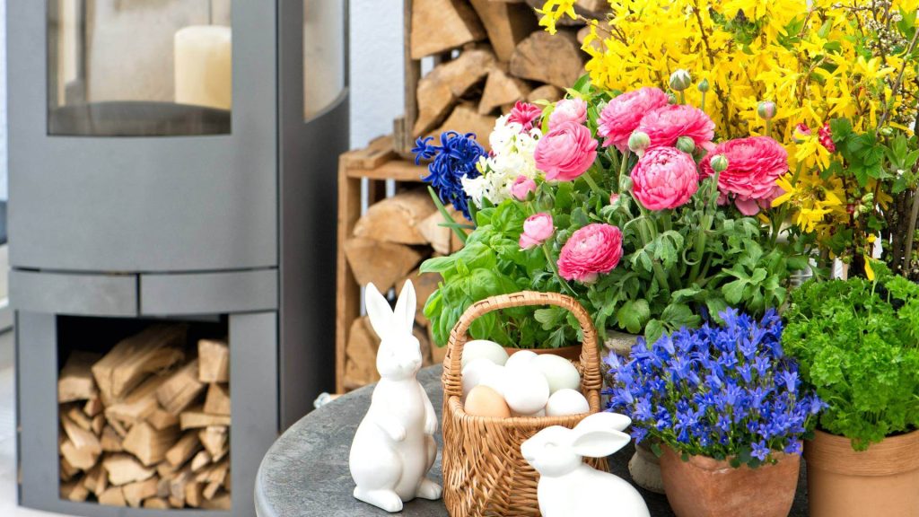 Gather Fresh Plants to Enjoy Your Home More in Spring