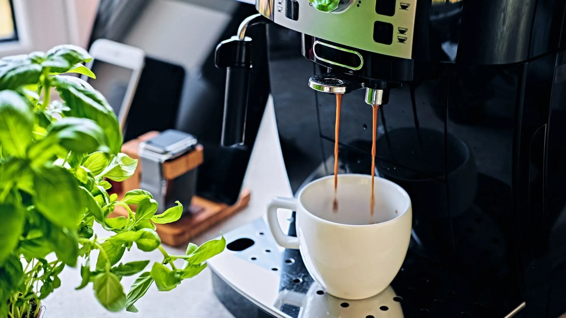 How to Choose the Right Bulk Brew Coffee Machine for Your Office