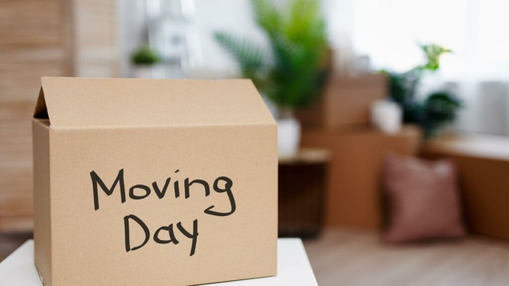 Organizing Your Move