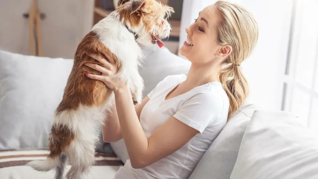 Factors to Consider when Choosing a Dog Breed for Apartment Living
