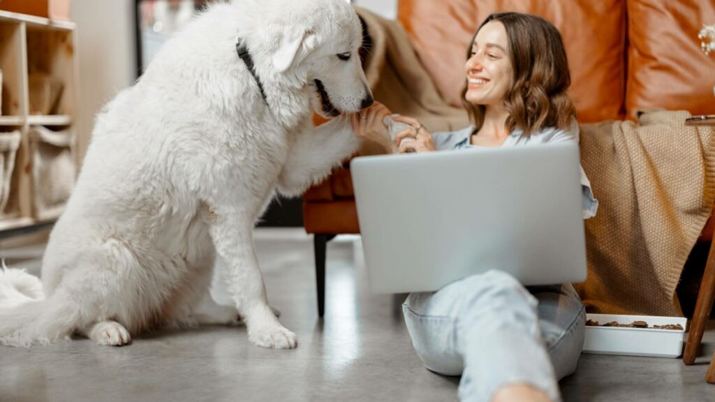 Stay Productive When Working from Home with Pets