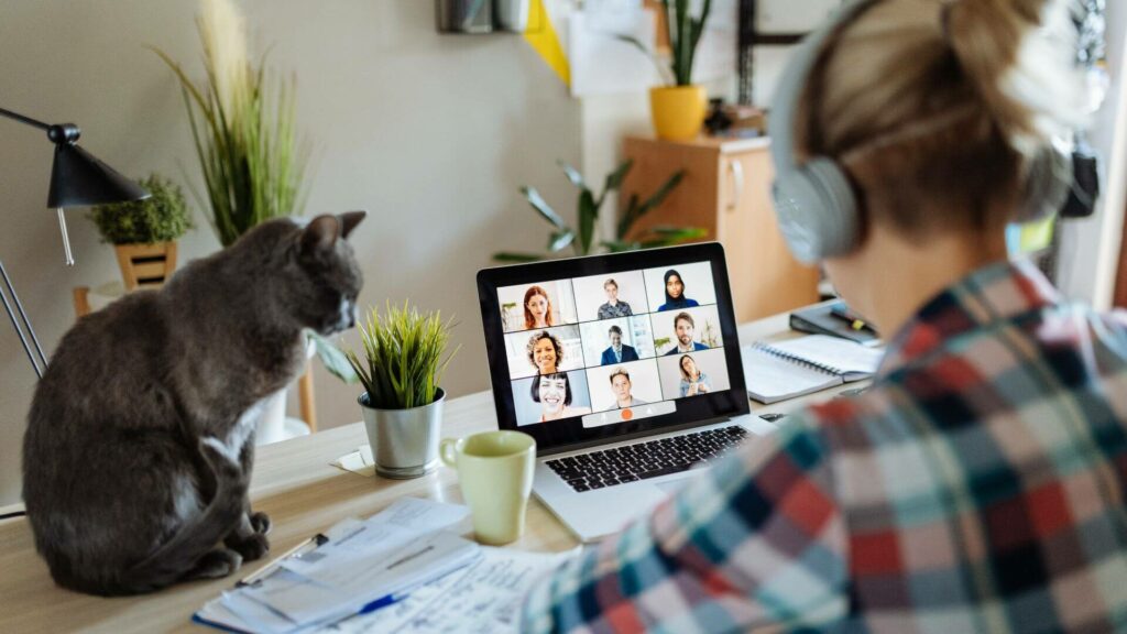 working from home with pets