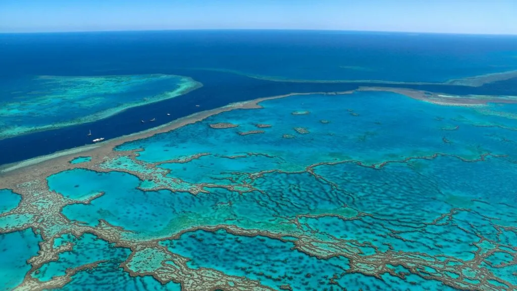 The Great Barrier Reef