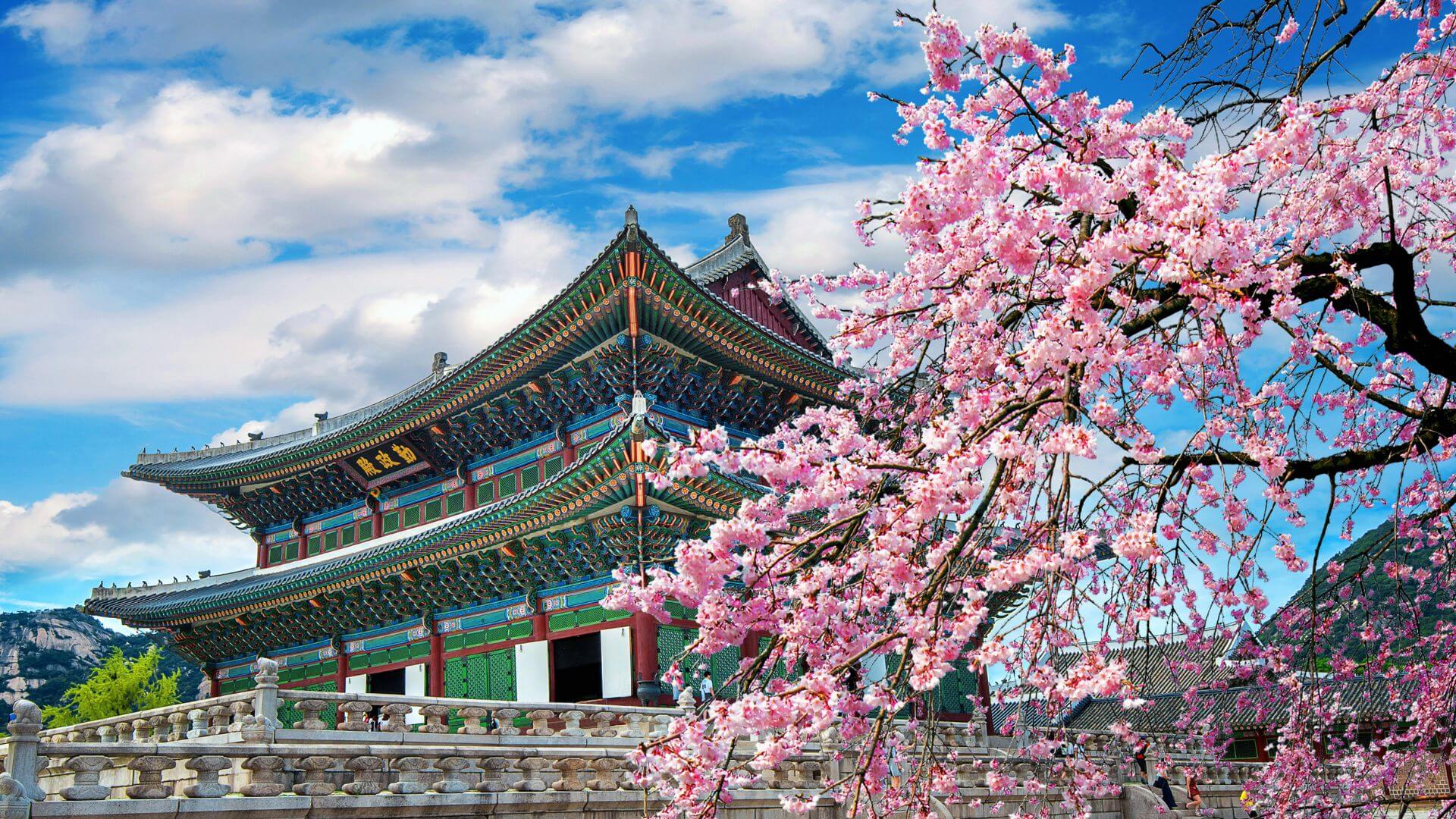 Unlock the Magic of South Korea