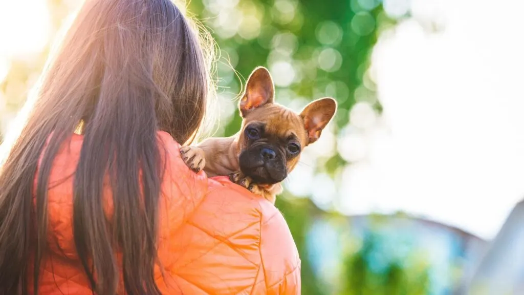 4 Mistakes to Avoid When Bringing Home a Puppy