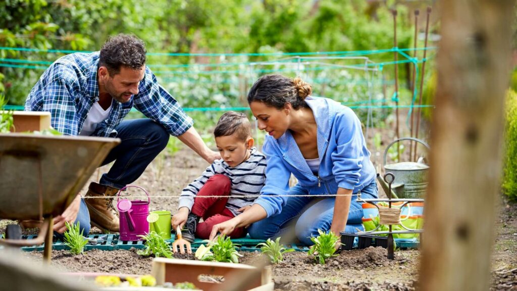 Backyard Summer Prep  Essential Tips for Outdoor Living