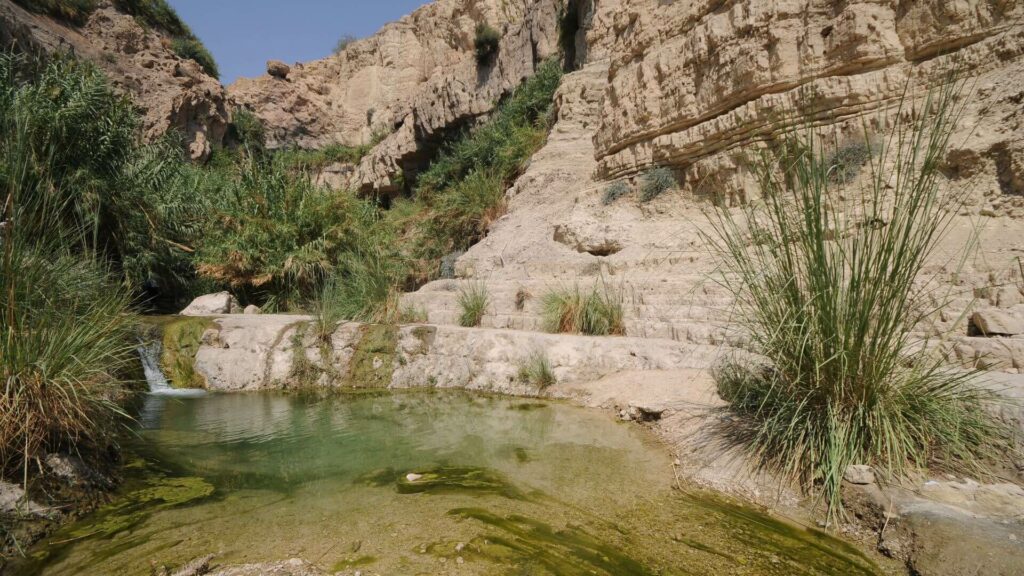 Ein Gedi Oasis, hidden gems in Israel