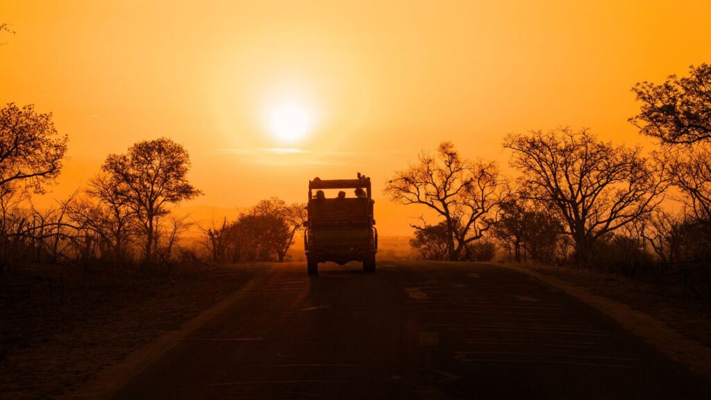 Africa's Leading Safari Company