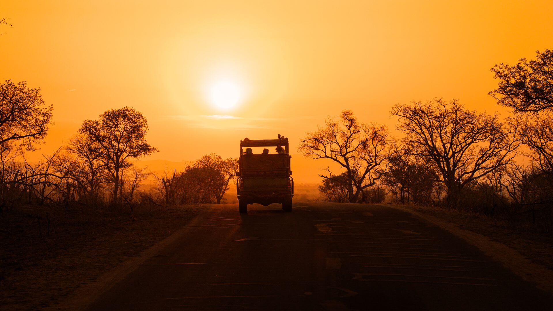 Africa's Leading Safari Company