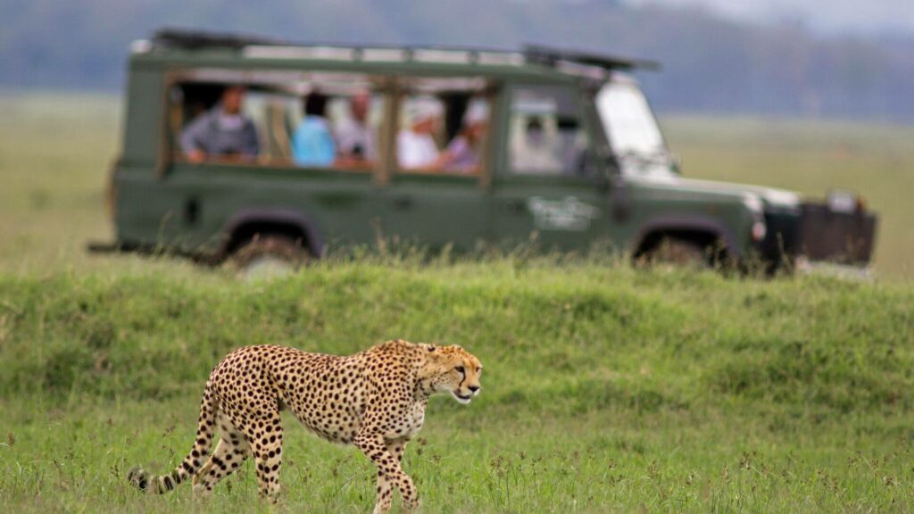 Safari.com Nominated for Africa's Leading Safari Company 2024