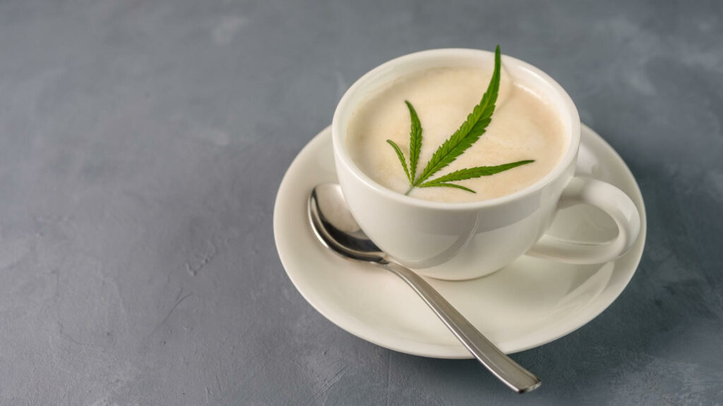 The future of THC drinks True mind-body balance