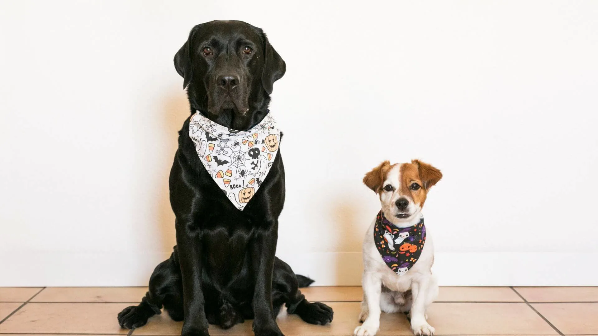 custom dog bandanas